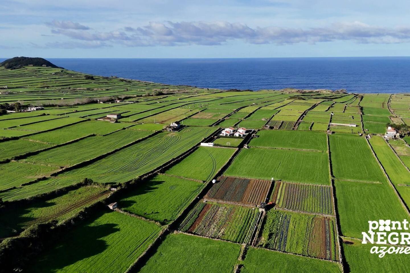 Wine House By Ponta Negra Azores Altares Exterior foto